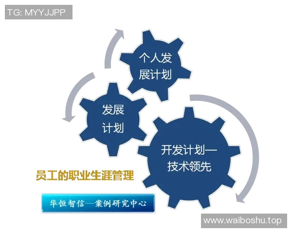 NBA球队新秀球员培养体系与案例研究