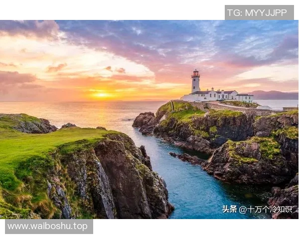 揭秘多特蒙德你未曾了解的十个隐藏冷知识 揭秘多特蒙德你未曾了解的十个隐藏冷知识